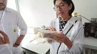 Molinos en cereales y granos andinos - UNALM