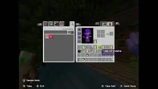 Playing on my minecraft realm duo