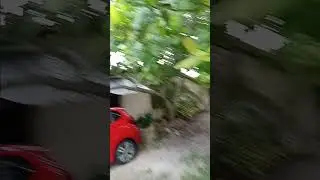 She's on the roof!