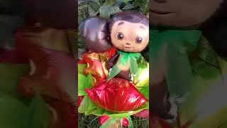 Всем легкого, интересного учебного года! Успехов! Хороших друзей!😊🍂🍀🍁