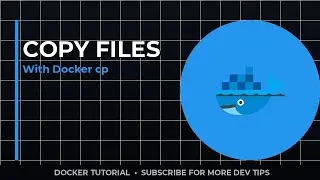 Docker cp Command: Copy Files in 5 Minutes