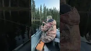 31 мая 2024 г.