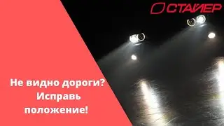 Свет всему голова!