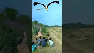 Vfx magic video long Lage😱🤭🦅✈️🔥😂 