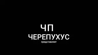 Заставка 