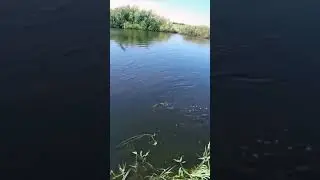 17 ноября 2020 г.