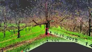 Apple Tree Reconstruction