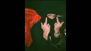 [FREE] Detroit Sample Type Beat x Babytron Type Beat - 