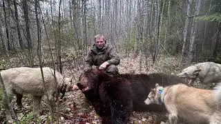 Охота на Медведя с ЗСЛ