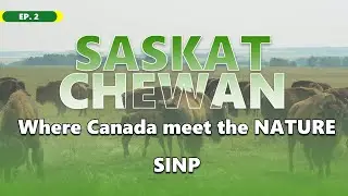 Saskatchewan is welcoming the world | Details about SINP | EP.2 | Moon Raj Chowdhury