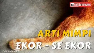 Arti Mimpi Ekor Binatang  - Mimpi Melihat Seekor Binatang