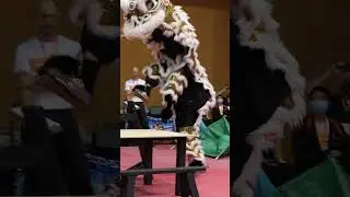 Lion Dance Competition múa lân tarian singa #liondance #mualan #舞狮