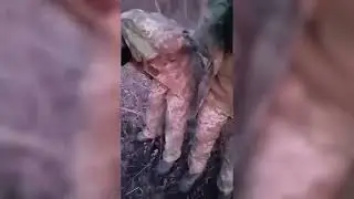 Херсонские мобики сдаются под Марьинкой