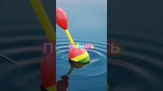 4 февраля 2024 г.