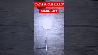 RGB Lamp #yearofyou