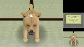 Let's Try [DS 0068] Nintendogs   Shiba & Friends