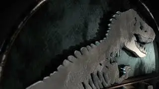 AE 2021 Template Jurassic Intro