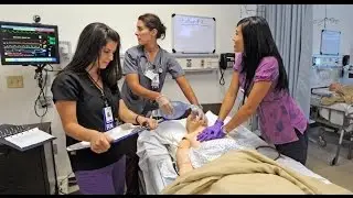 Real Life CPR