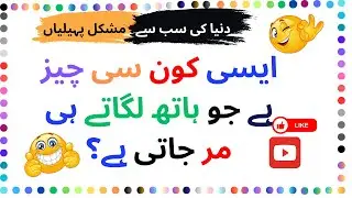 10 New Urdu Paheliyan Jawab ke Sath | 10 New urdu paheliyan with answer