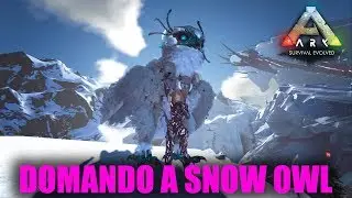 How to Tame and Skills of Snow Owl - Ark Extinction PT BR