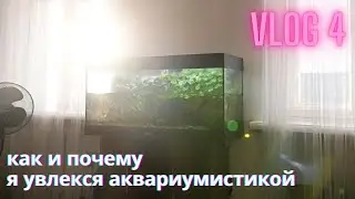 VLOG 4 / Как и почему я увлекся аквариумистикой и завел рыбок