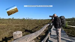 Fotografieren im Schwarzen Moor (Rhön)