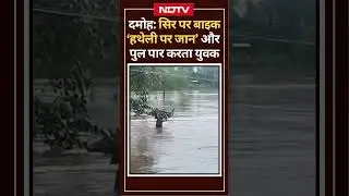 Damoh: सिर पर बाइक "हथेली पर जान" और पुल पार करता युवक | Viral Videos | MP News  | Latest News
