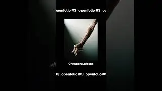 [ OPENFOLIO #3 ]