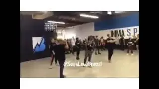 ImmaSpace ( WilldaBeast, Sean Lew and more)