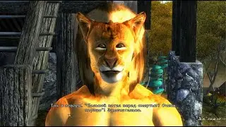 TES IV Oblivion 
