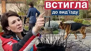 Роботи в саду навесні. Обрізка саду.