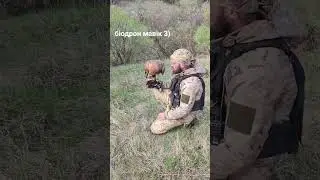 Новий тип біодронів.