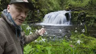 Photographing spring WILDFLOWERS & WATERFALLS