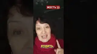 13 января 2024 г.
