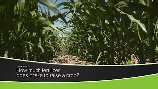 How Much Fertilizer Does It Take To Raise A Crop?