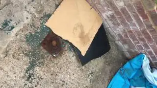 Bottle Flipping Random Stuff
