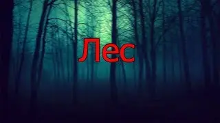 Страшные истории от Чаки (Лес)