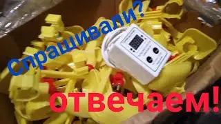 Спрашивали? Отвечаем!