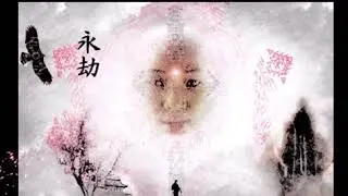 Frost vs flowers video meditation