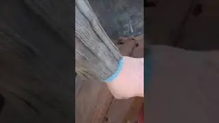 рейсмус с фуганок самодельный, новый проект