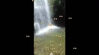 ШАРШАРА ...SHarshara 😍ёзни иссик кунида 😉