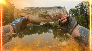 September Tank