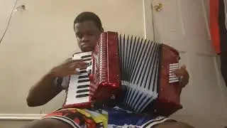 swan lake (accordion cover)