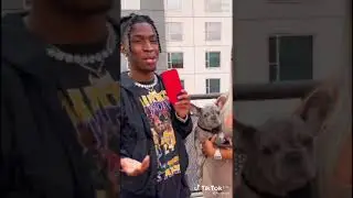 Swaboyq back on top