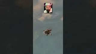 Threading the Needle!! 