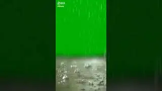 rain green screen 