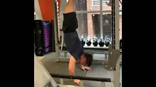 Bench Gym Personal Training: Handstand TRX Push-Up with Chayut #chestexercise #corestrength