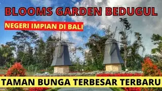 The Blooms Garden Bedugul Bali Taman Bunga Tercantik