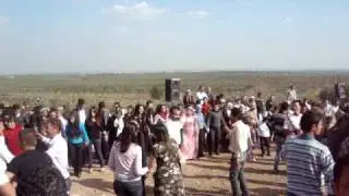 Carsema Sor Ezdi Efrin 2010 عفرين