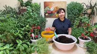 UNIVERSAL SOIL FOR SEEDLINGS WITH YOUR OWN HANDS! RECIPE FOR PREPARATION!